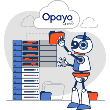 Opayo Server