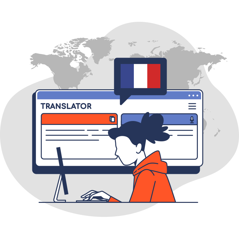 Translation into French for CustomerFlag
